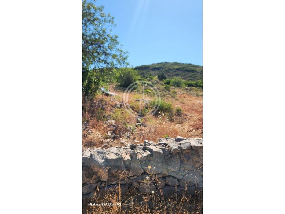 Terreno Rustico com 8440 m em Santa Barbara de Nexe, Faro — Santa Bárbara de Nexe, Faro