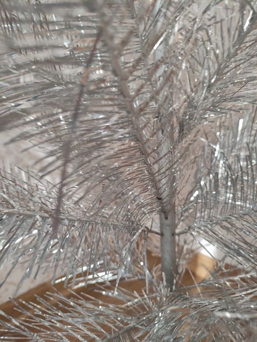 Ялинка срібляста СССР