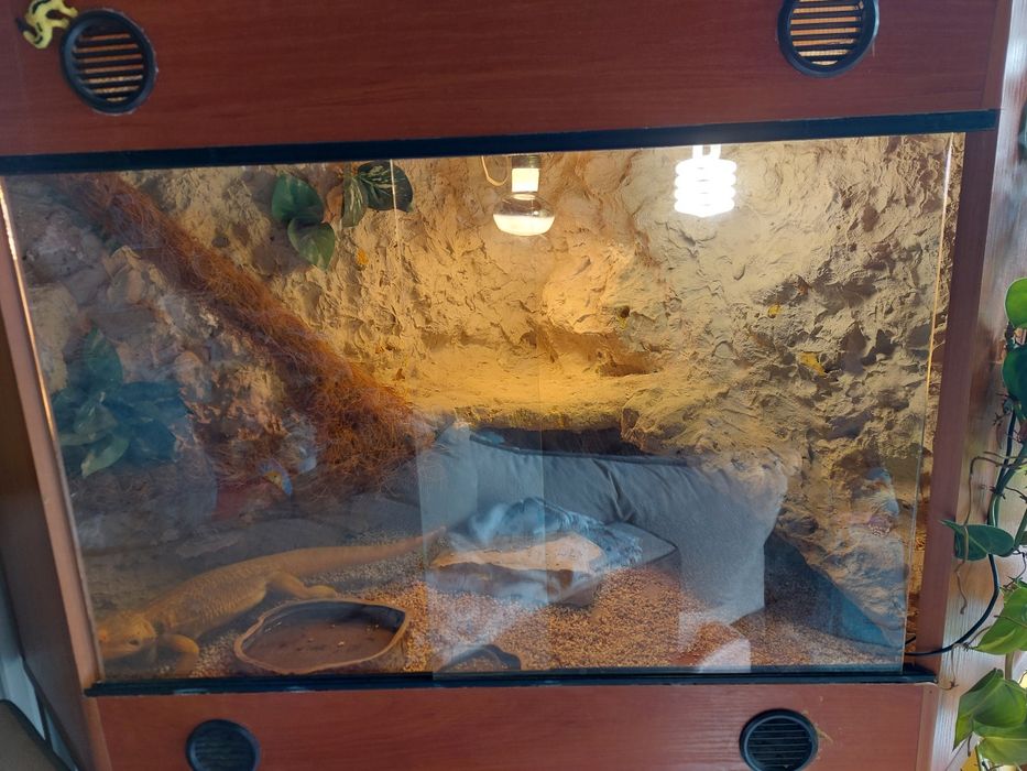 Terrarium narożne 70×70×100