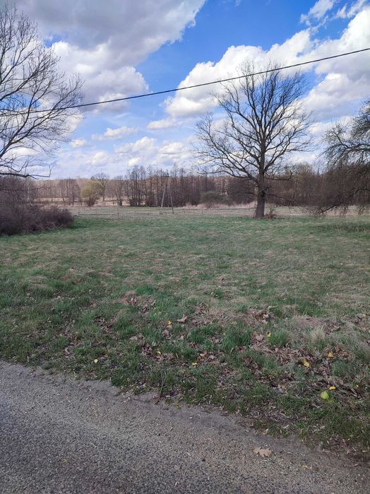 Sprzedam działkę budowlaną Buczynka gmina Lubin 924 m2