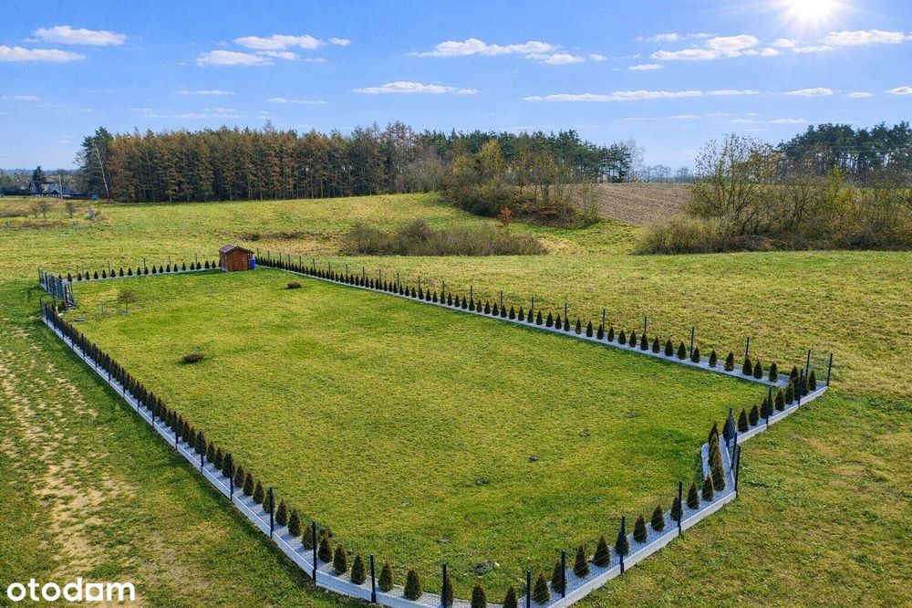 Borzechowo | WZ | pełne zagospodarowanie terenu