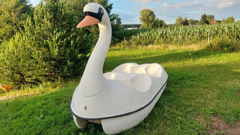 Duży rower wodny Łabędź