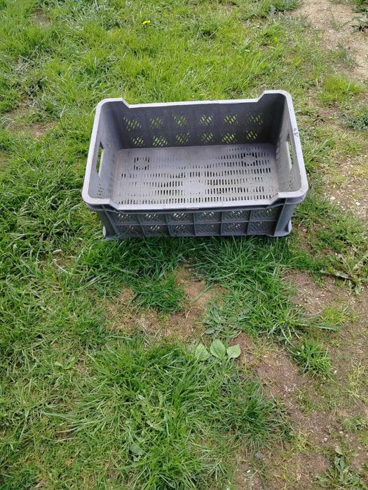 Skrzynki plastikowe 15 kg