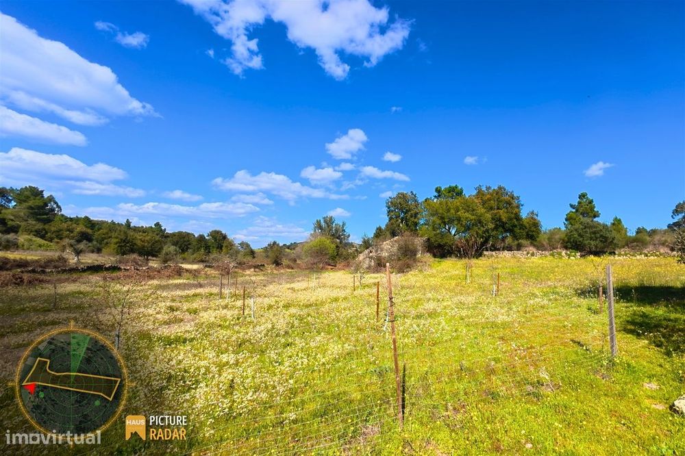 Terreno 1.1ha com Ruína e Vale Fértil | Cafede, Castelo Branco