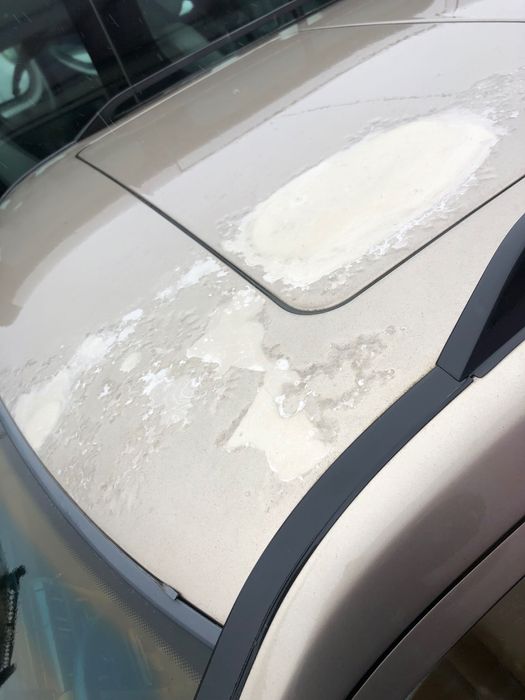 1986 Mercedes Benz S124 300d autom.