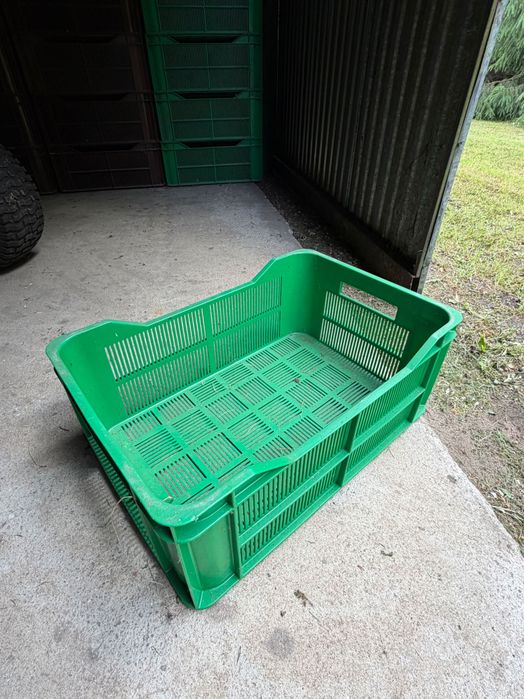 Skrzynki plastikowe 20 kg – 500 szt.