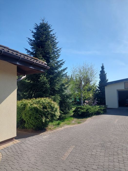 Sprzedam dom w Głogowie - Widok 5