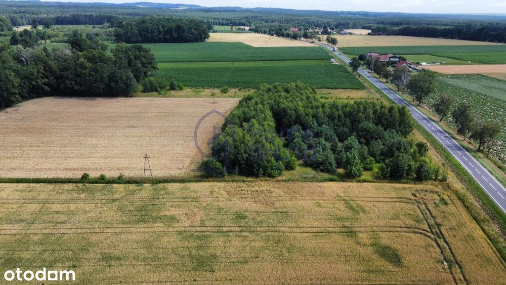 Działka budowlana 1480 m2 | Drołtowice