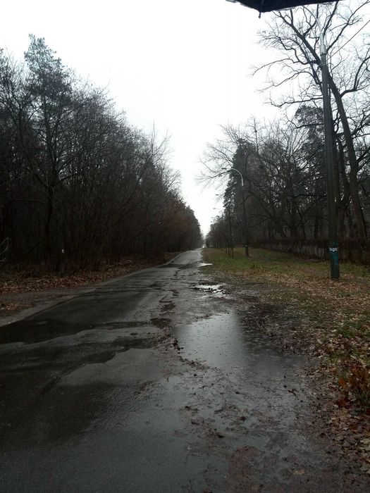 Без комісії!Продаж земельної ділянки. 20 сот.Пуща-Водиця.вул.Лісна