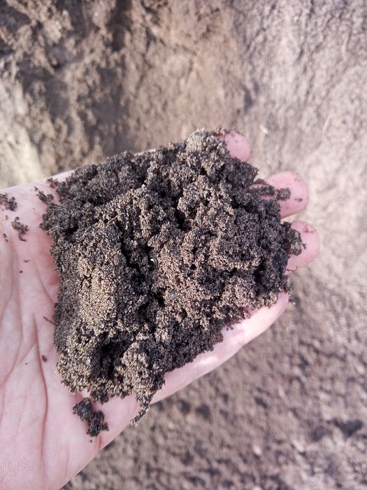 Ziemia ogrodowa przesiewana siana