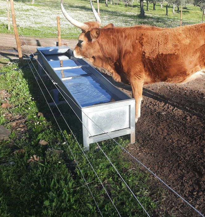 Bebedouro automatico