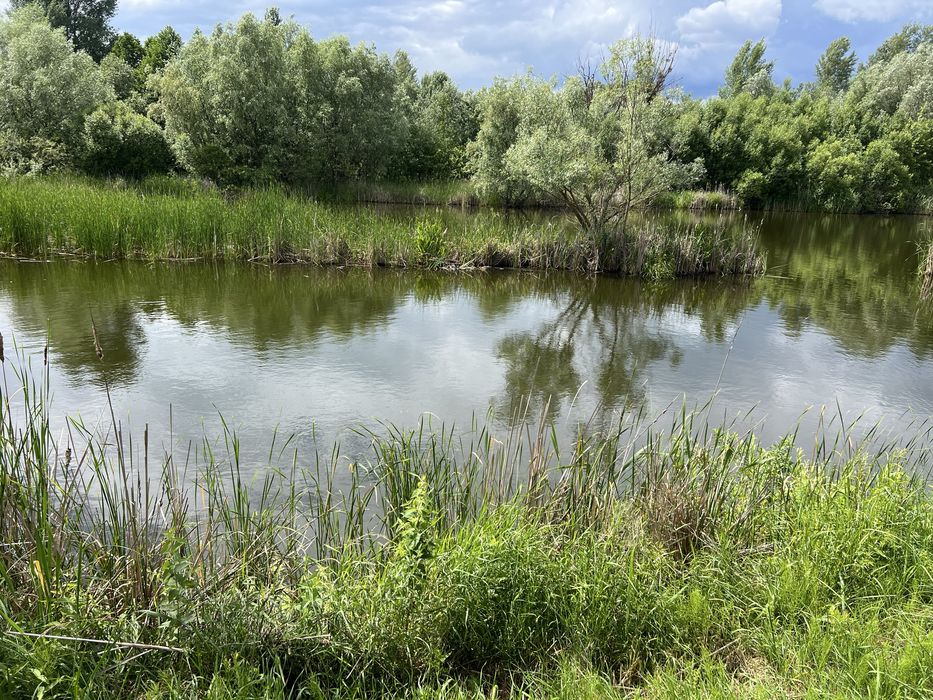 Здам кімнату ,Голосійвський р-н ,Віта Литовська