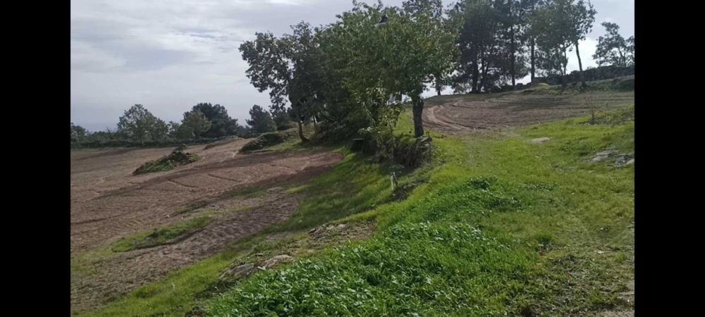 Terreno com 1,6h e viabilidade de construção apoio agricola