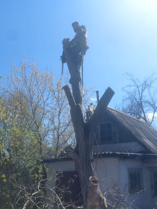 Слеби Доску Горіха  розпустимо під замовлення, маємо в наявності понад 10 кубів кругляка Волоського горіха