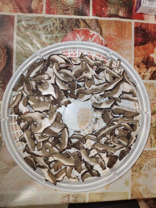 Grzyby suszone, podgrzybki