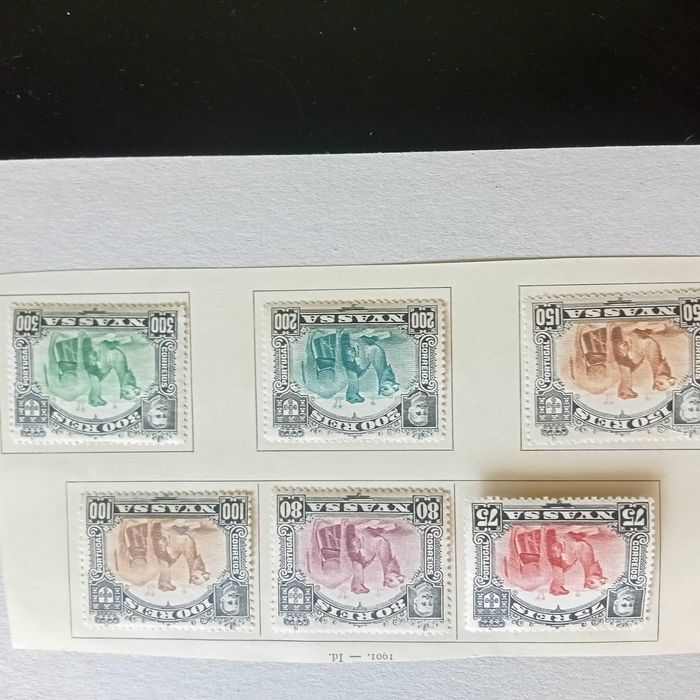 NYASSA denteado 13,5 e 15