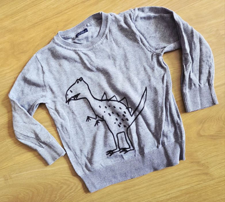 Paka ubrań w rozmiarze 92
Bluza i sweter z dinozaurami Next.
Dres z P