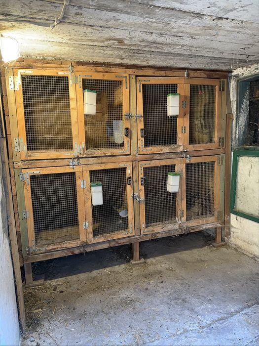 Klatki dla krolikow