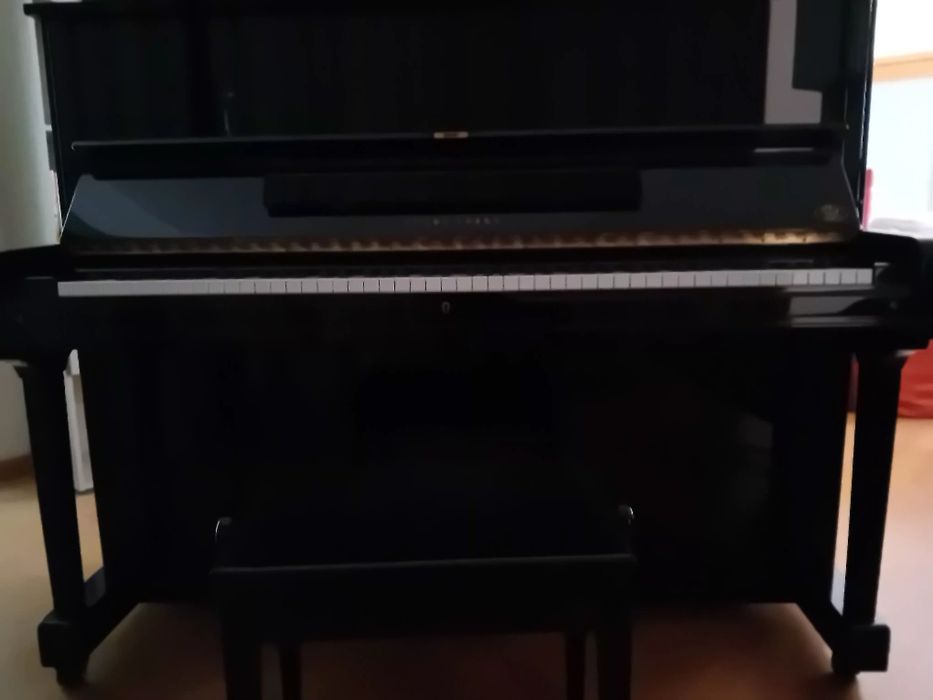 Piano  young chang