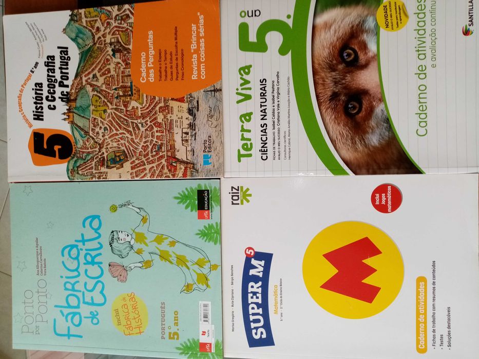 Terra Viva 5 Workbook – Super M Workbook – Writing Factory Workbook – History and Geography Workbook64740798409090120