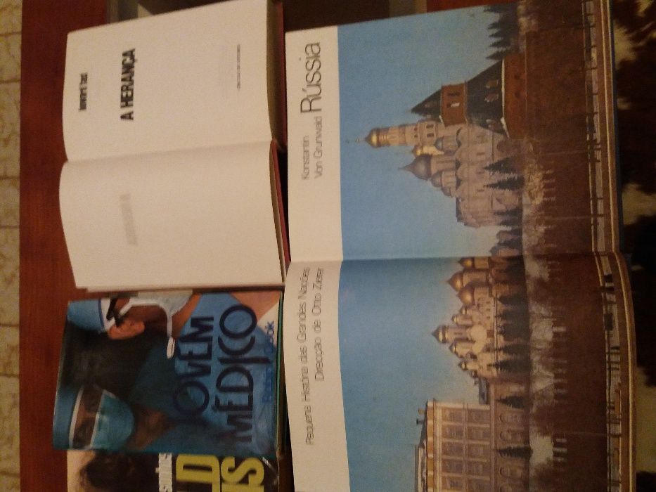 Primeiro morrem os sonhos-Harold Robbins...