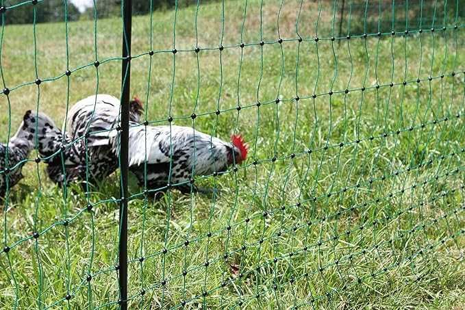 Siatka elektryczna dla drobiu Premium 50 m, 122 cm, podw szpic zielony