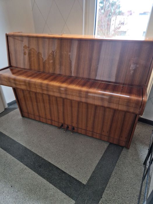 Pianino calisia jasny brąz