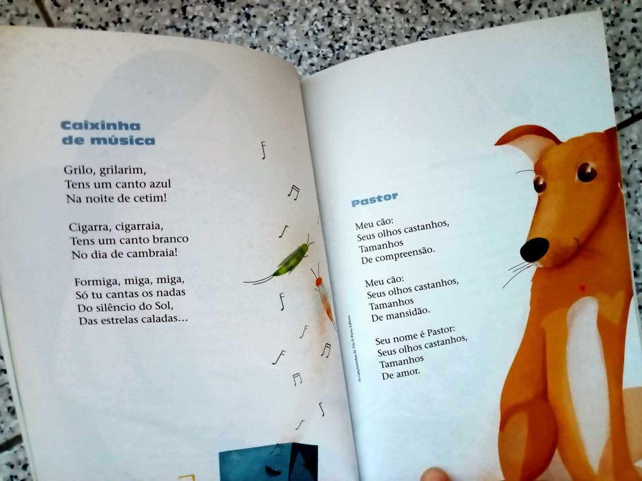 Coleção educação literária - As cançõezinhas da Tita