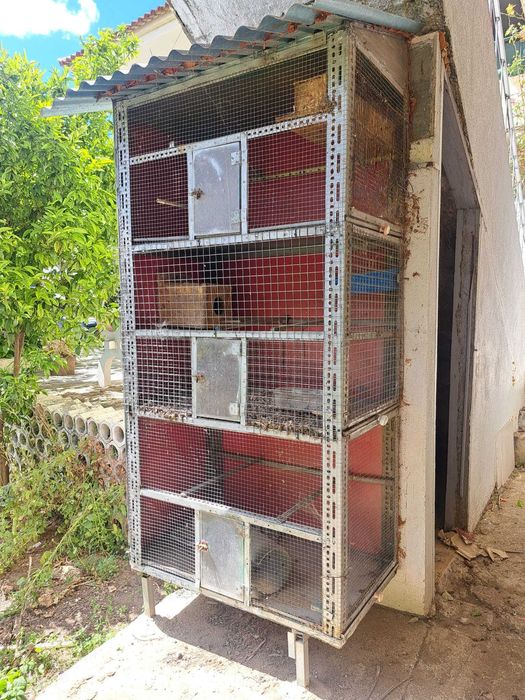 Gaiola grande para Pássaros - possivel criação