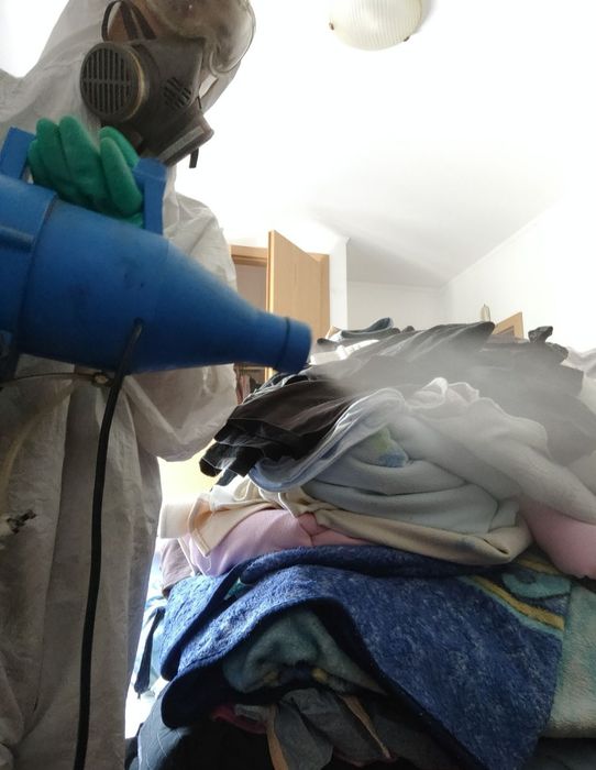 Desinfestação profissional de percevejos e de todos os tipo de Pragas