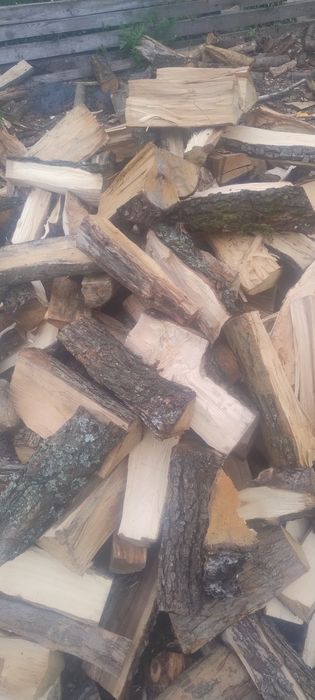 Продам дрова різних порід
