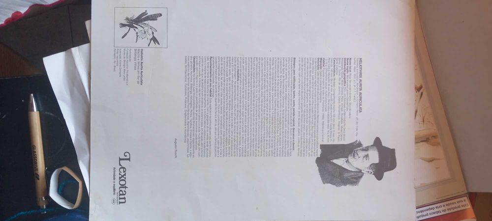 Litografia de Etienne Demonte