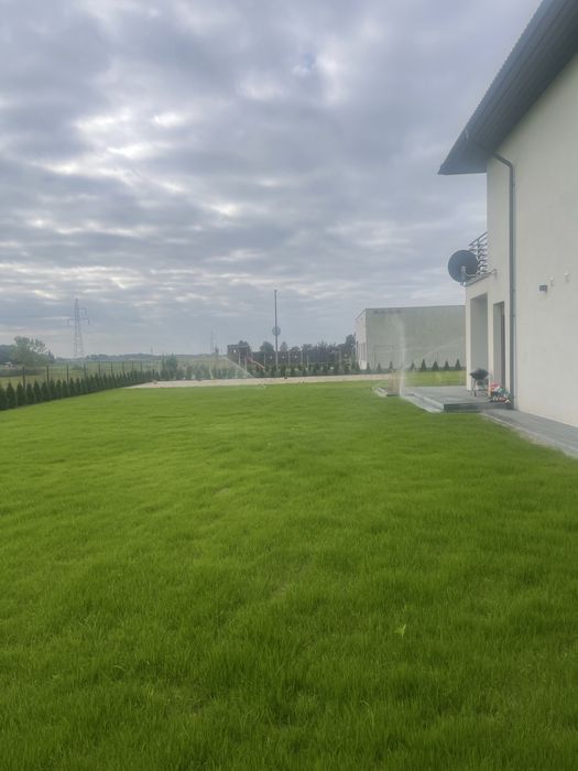 Zakładanie trawników - równanie i niwelowanie terenu po budowie