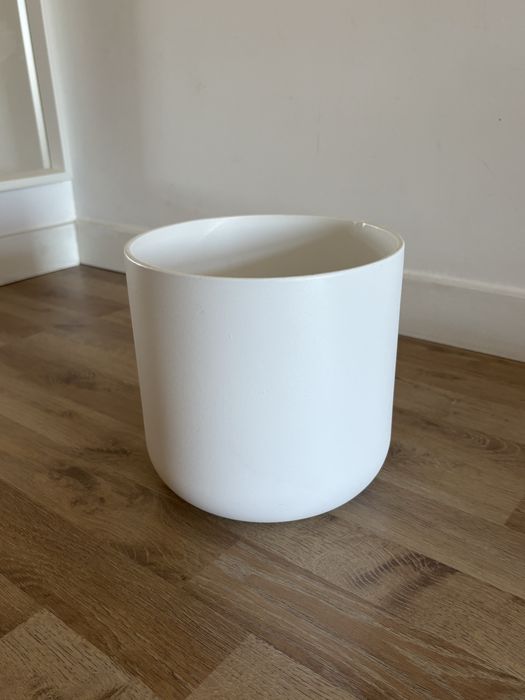 Vaso branco planta