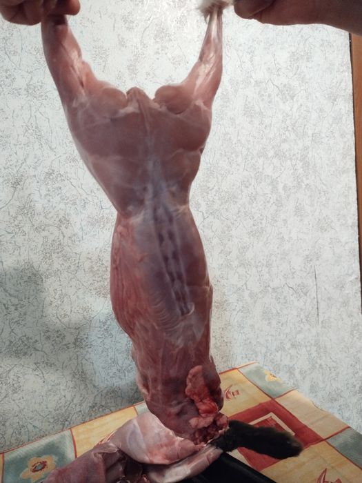 Продам тушки кролика