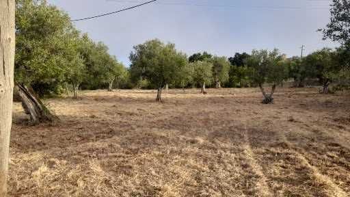 Moradia independente inserida num terreno com 15.000 m2
