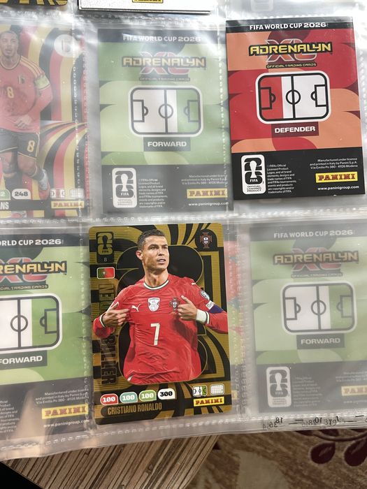 Panini Adrenalyn XL