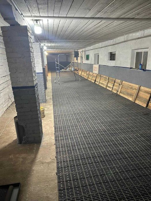 Ферма, господарські будівлі та споруди