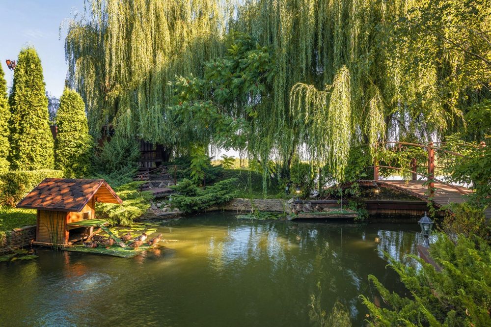 Оренда будинку подобово. Басейн, Чан, река, баня, сапы, каяки, лодка..