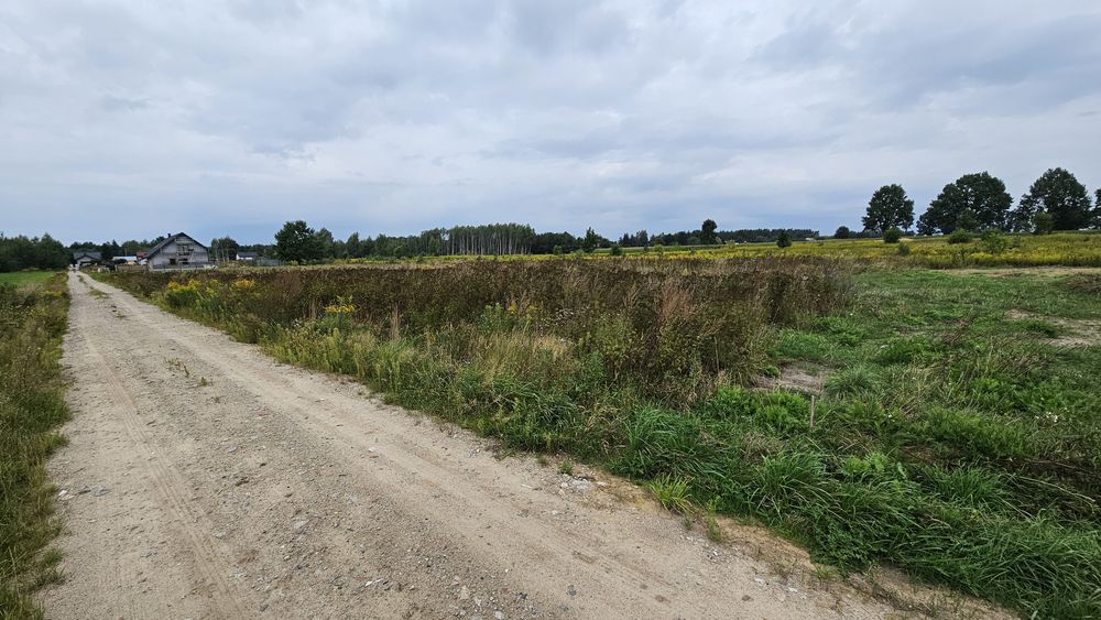 Działka budowlana 800 m² Teodorów - MPZP - Widok 3