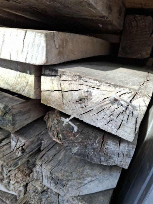 Bale z topoli, topola, drewno