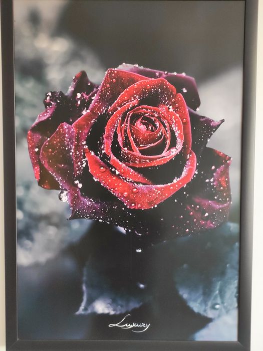 Sprzedam Obraz 66x96 cm