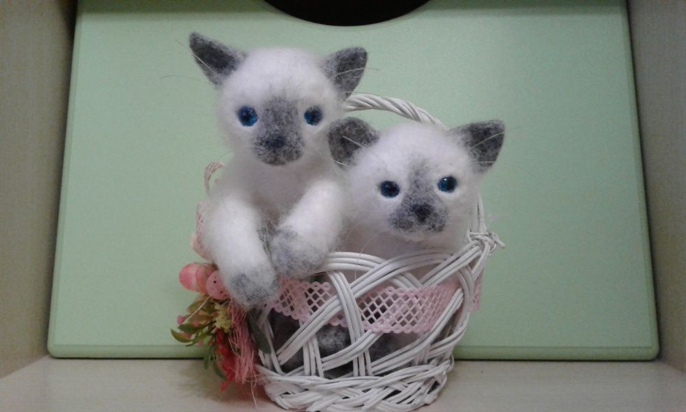 Сіамські кошенята валяні