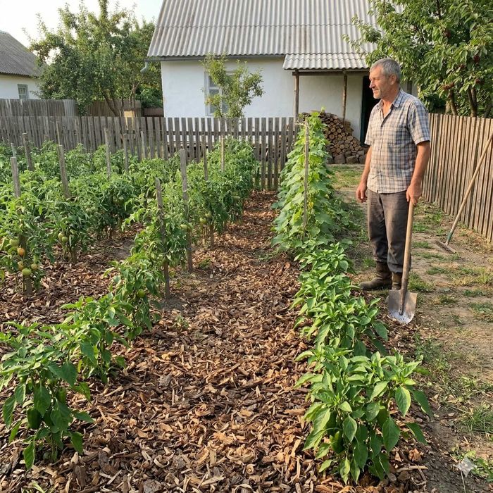 Чернозем, перегной, почва + тирса, опилки для мульчи