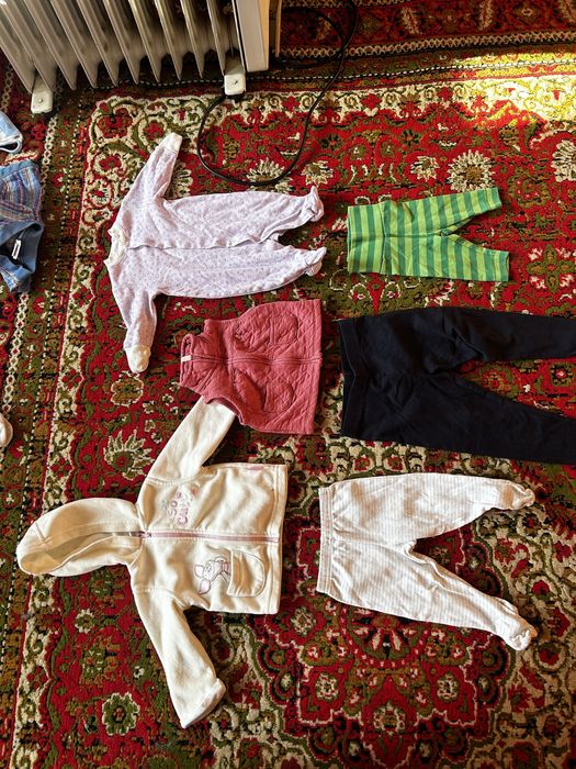 Отдам бесплатно