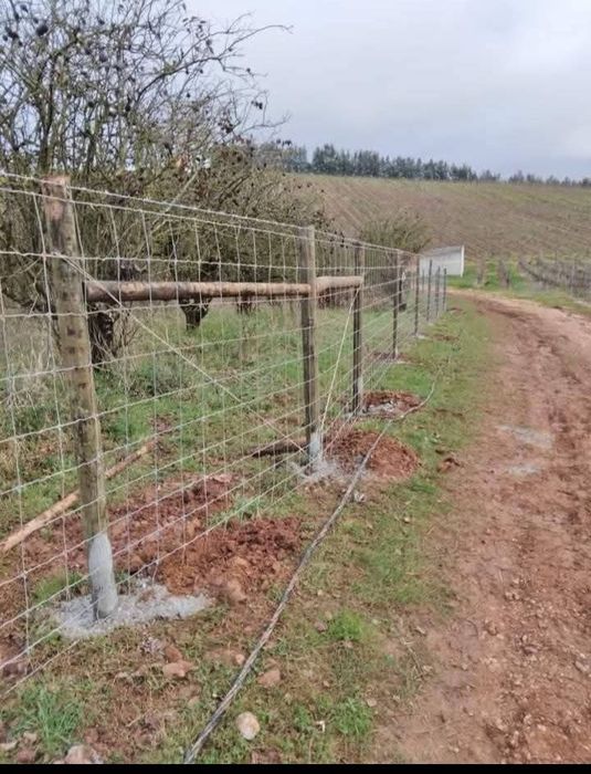 Vedações agrícolas e vinhas