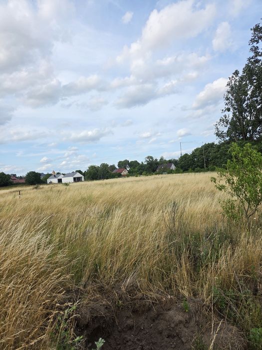 Działka budowlana 0,1339 Górzyca