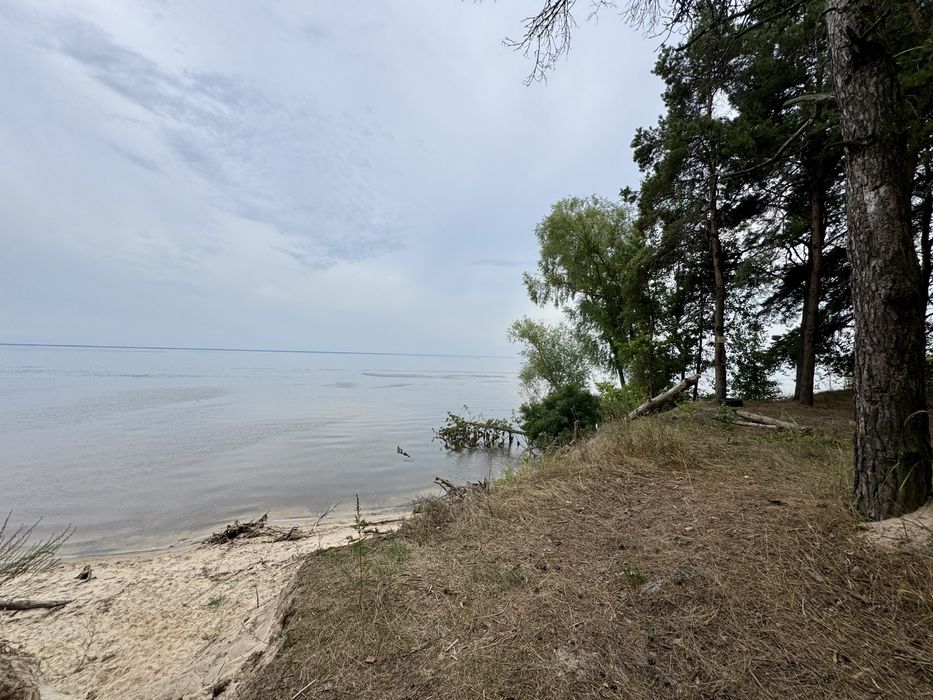 Продаж ділянки від 40 соток до 10Га. с. Ясногородка Киівська область