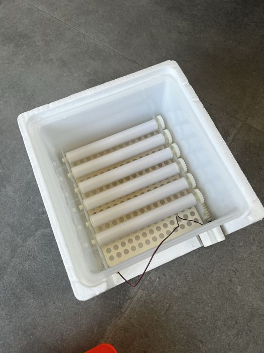 VEVOR - Incubadora de 12 ovos Viragem automática