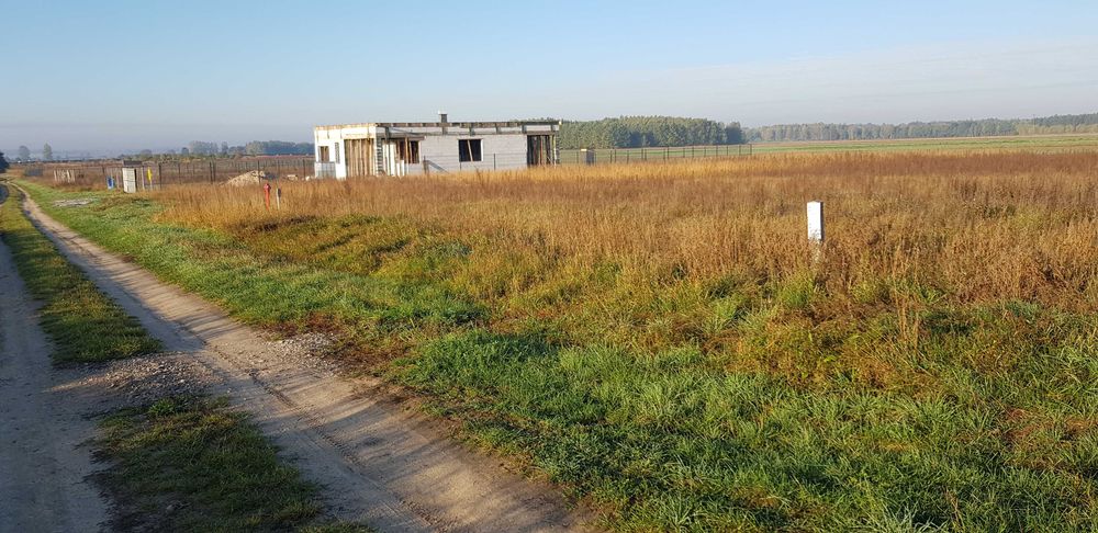 Działka budowlana - 1288 m² - Bezterminowe Warunki Zabudowy - Widok 5